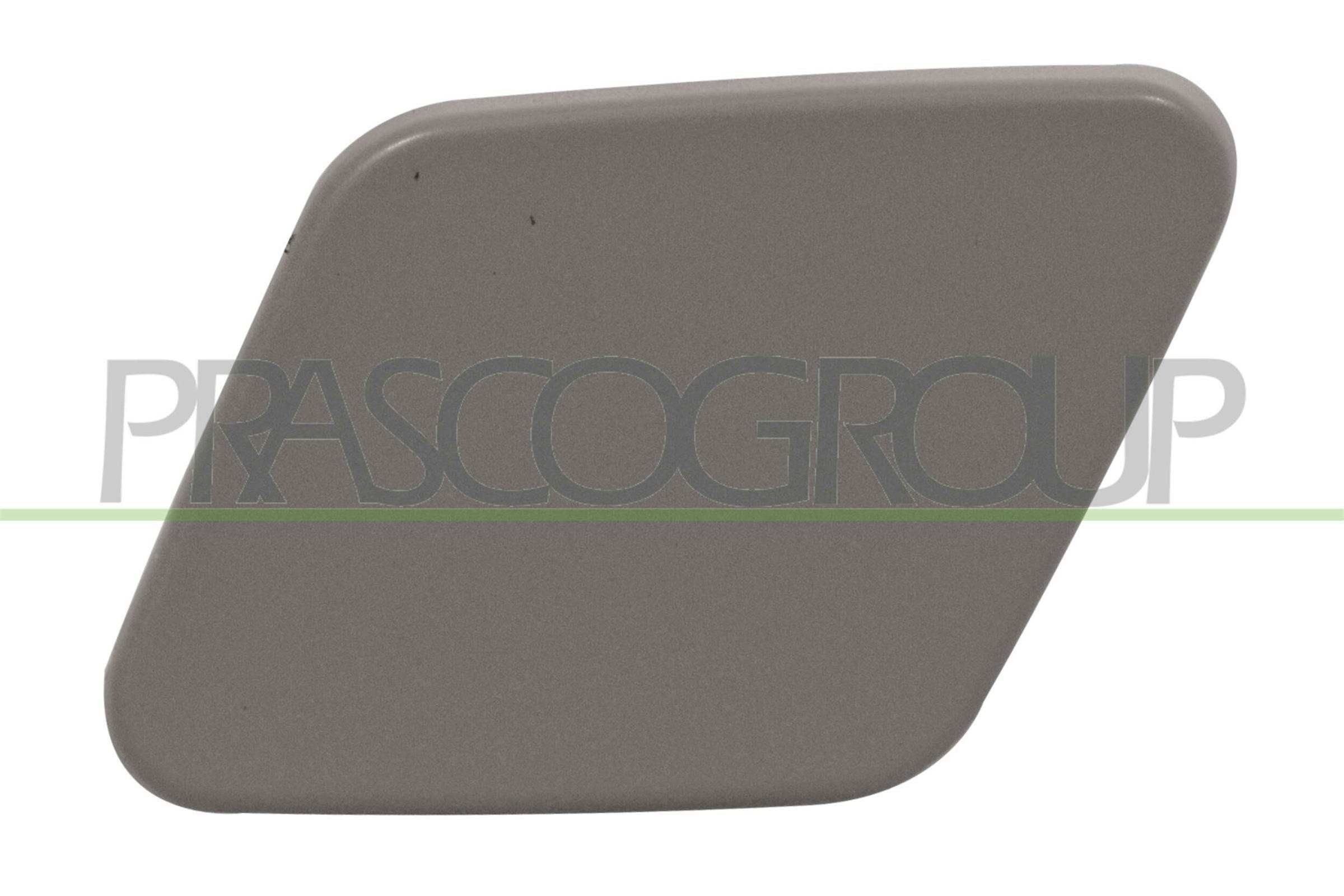 PRASCO Enjoliveur, pare-chocs BM1211238 PRASCO BM1211238 Bandeau pare-choc BMW F01 prix