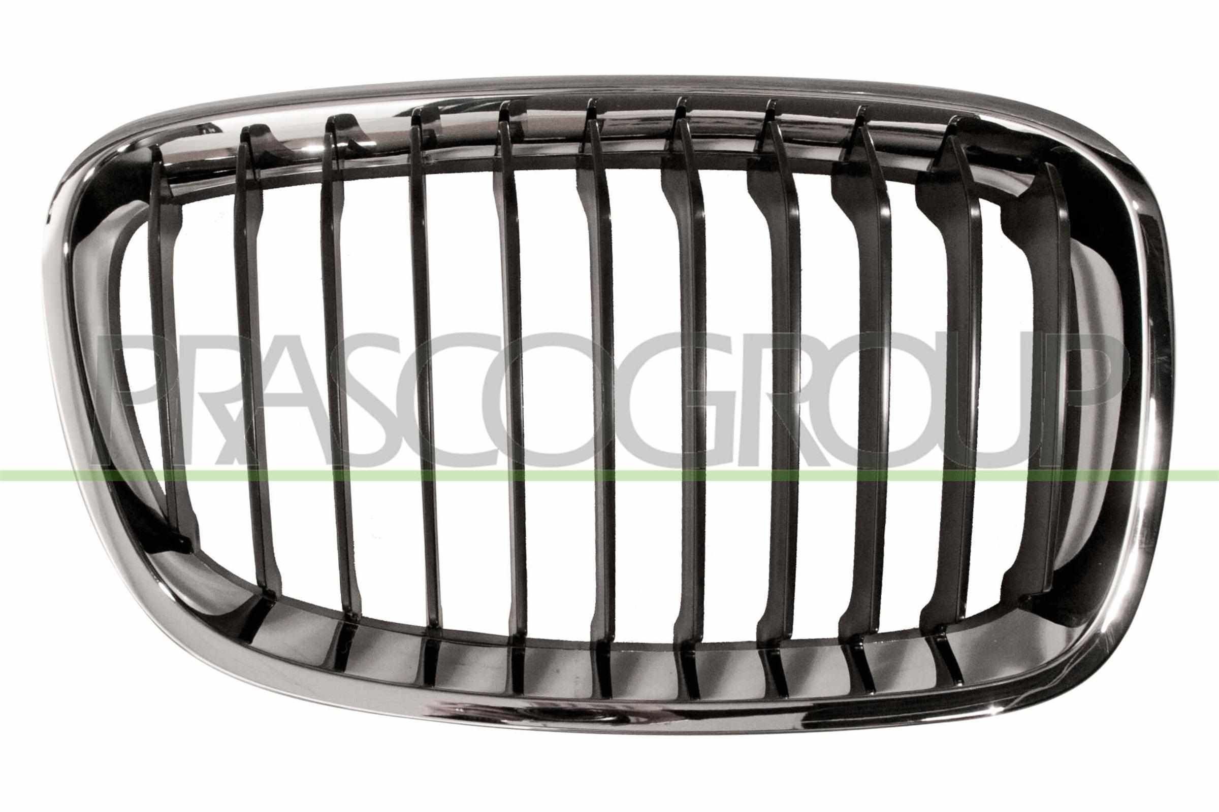 PRASCO Grelha de radiador BM1232003 BM1232003 Grelha frontal PRASCO BMW X2