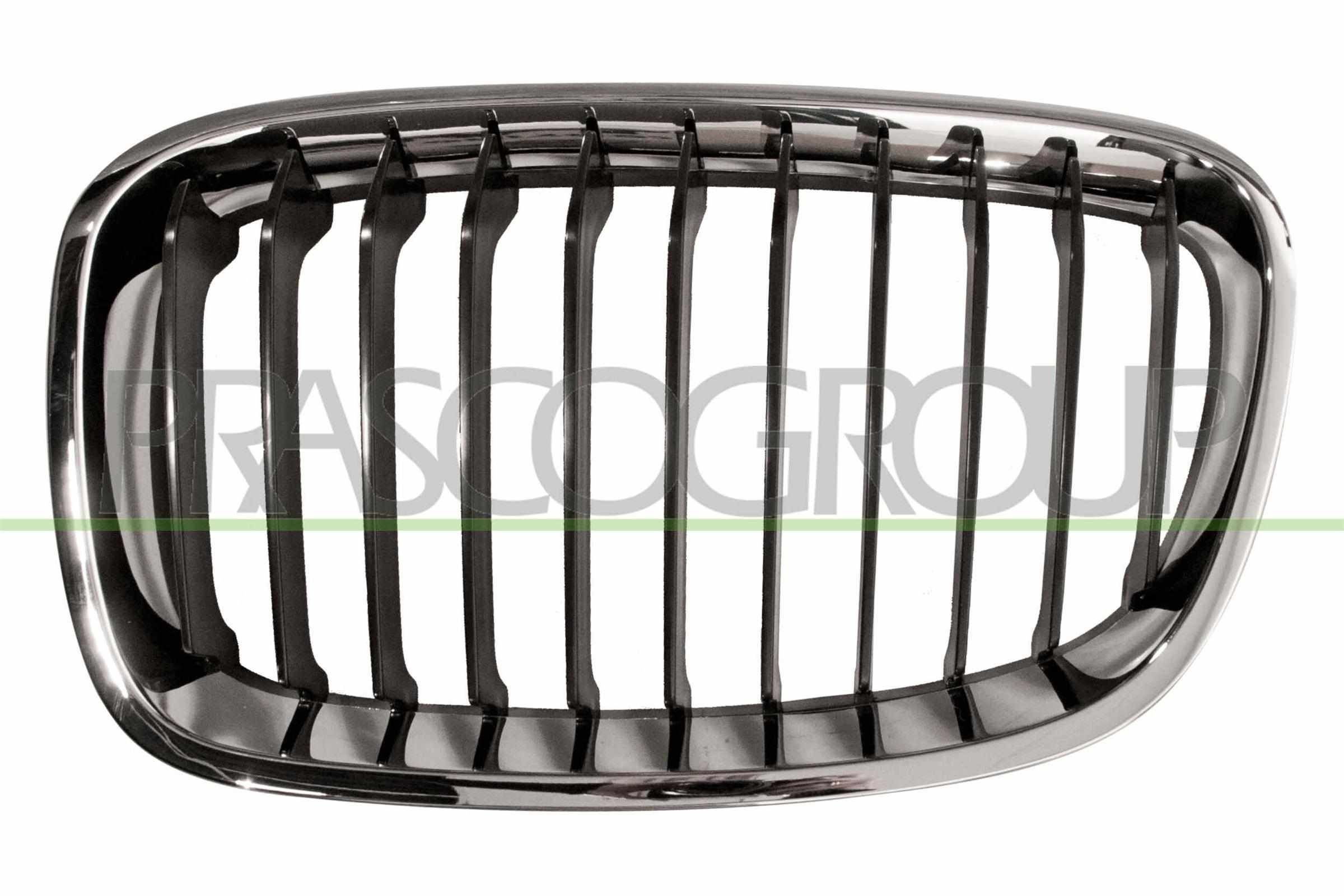 PRASCO Grill BM1232004 Sport iluvõre PRASCO BMW 6. Seeria Premium BM1232004