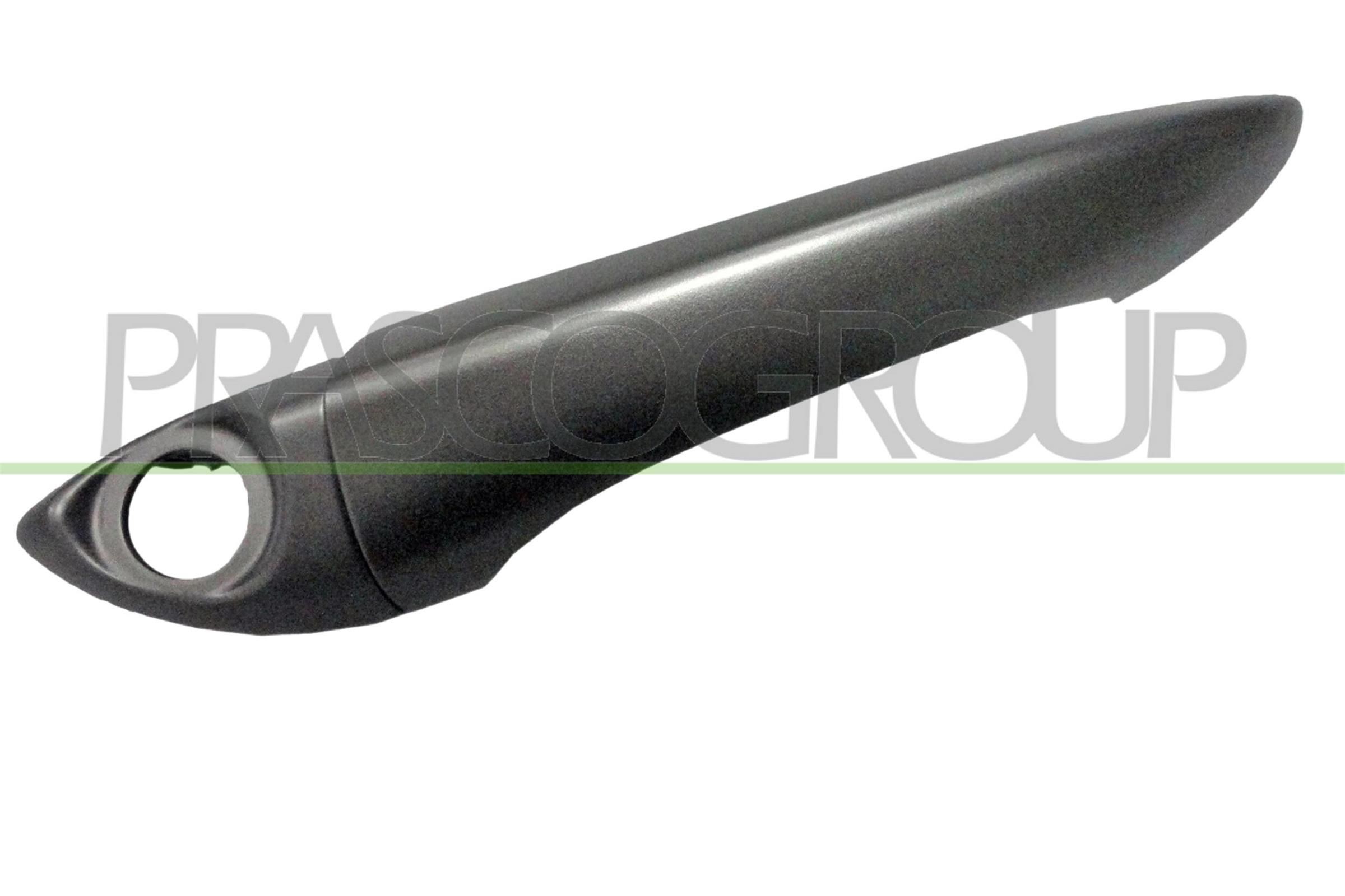 PRASCO Λαβή πόρτας BM8208008 Χερούλια πόρτας PRASCO BMW Σειρά 3 BM8208008