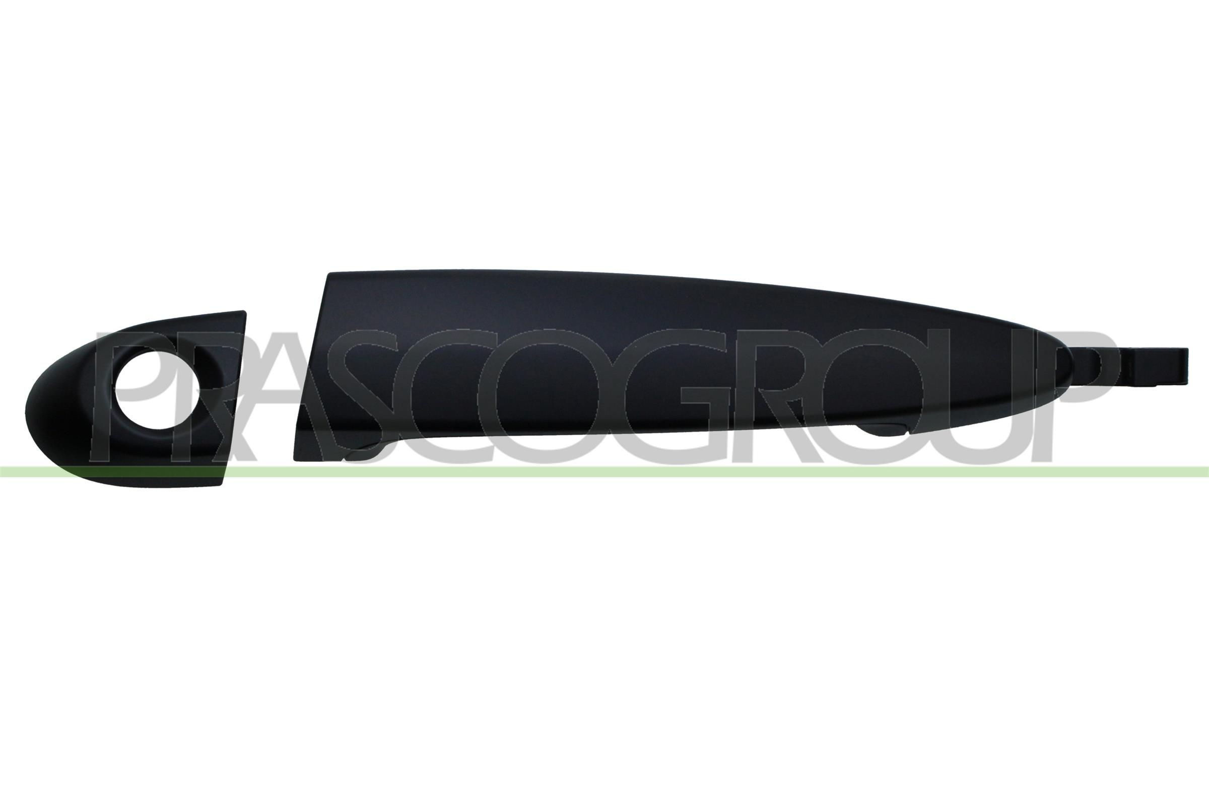 PRASCO Deurhendel BM8228004 PRASCO BM8228004 Deurhendel
