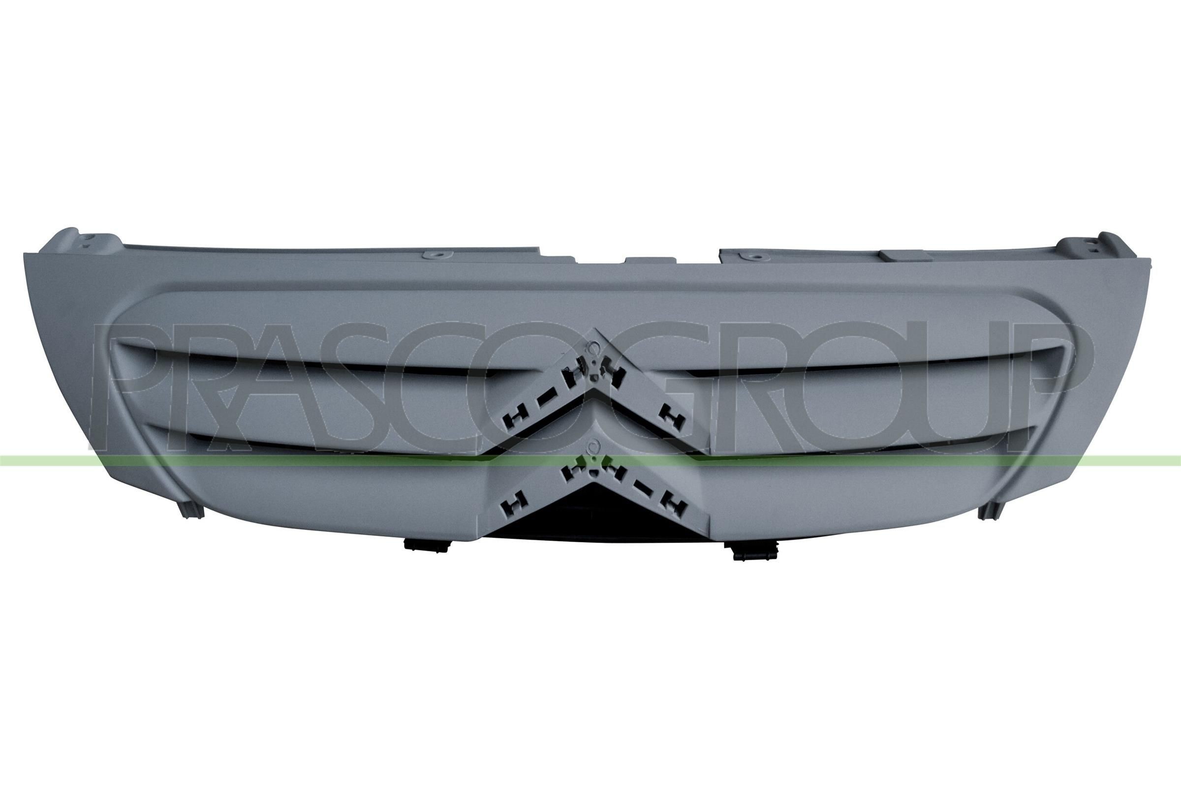 Kølergitter PRASCO CI3222001 PRASCO CI3222001 Kølergrill CITROËN DS3 2013