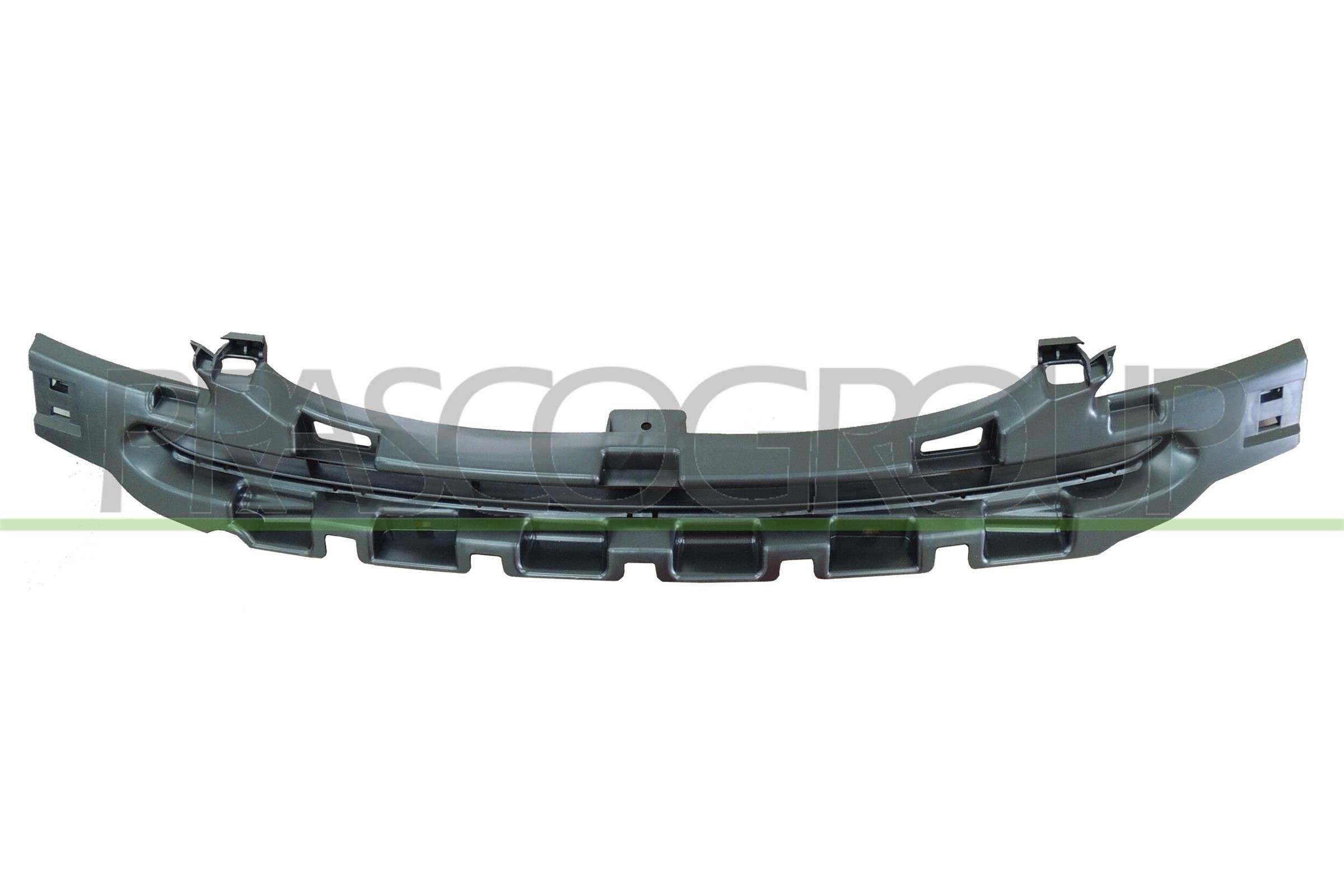 PRASCO Lüftungsgitter, Stoßfänger CI3222121 PRASCO CI3222121 Lüftungsgitter, Stoßfänger CITROЁN C3 I Schrägheck (FC, FN) 1.4 16V HDi 90 PS 2007