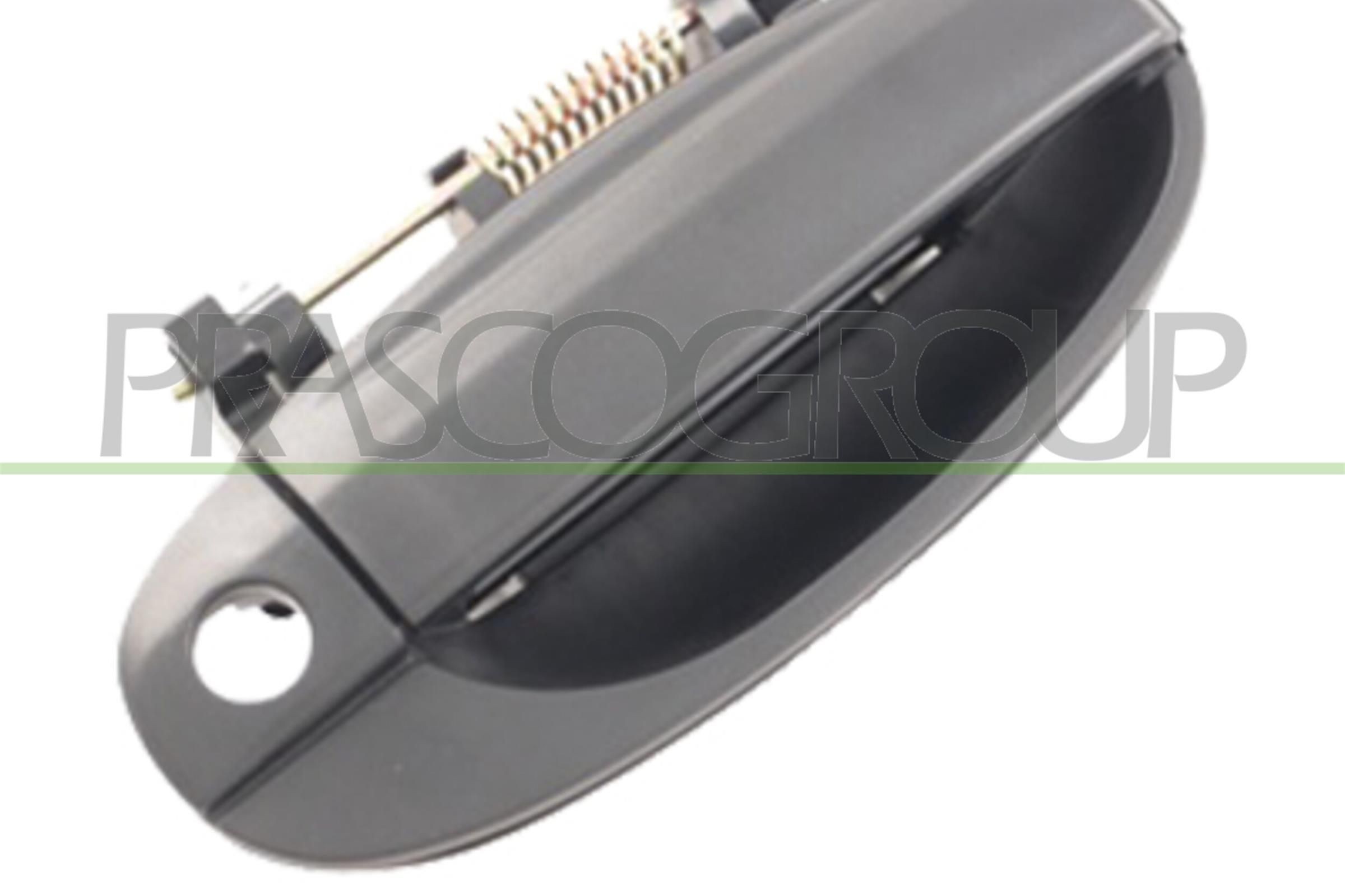 Door Handle PRASCO DW3268001 PRASCO DW3268001 2021 DAEWOO LANOS door handle replacement