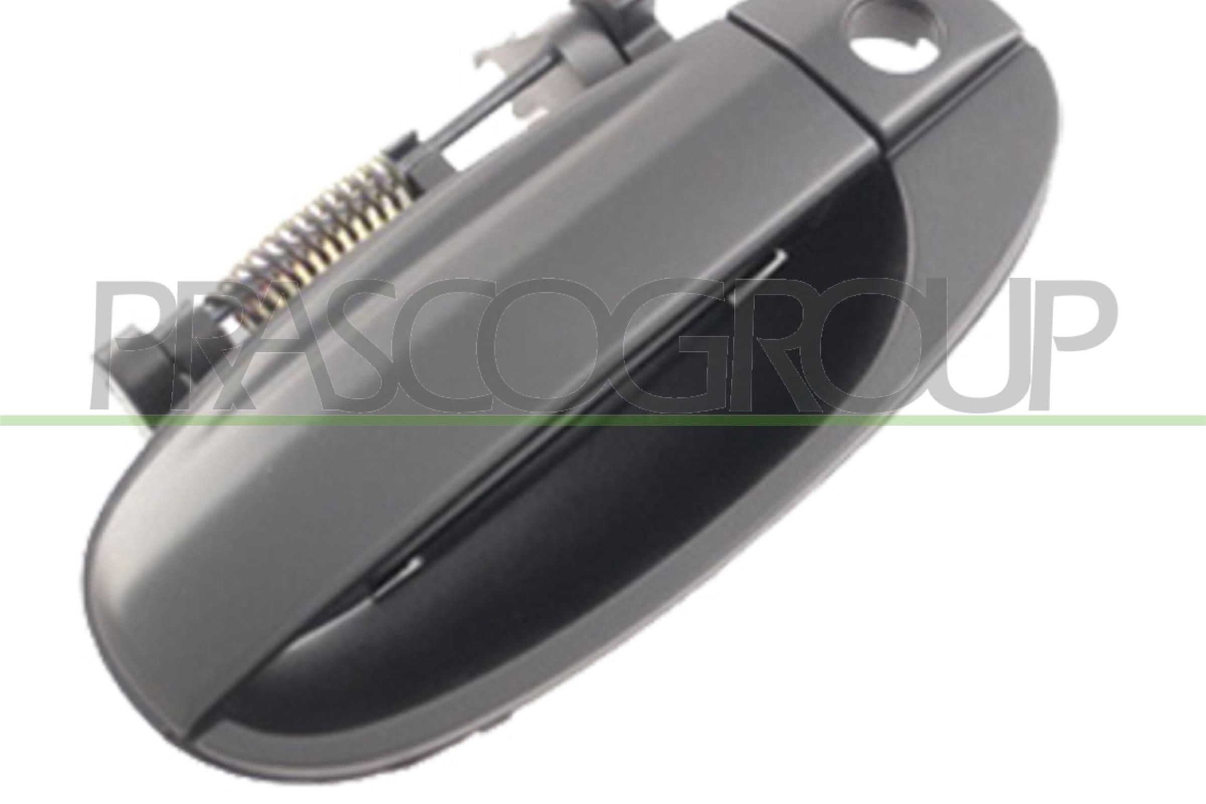 Door Handle PRASCO DW3268002 PRASCO DW3268002 Daewoo LANOS 2021 Door handles price
