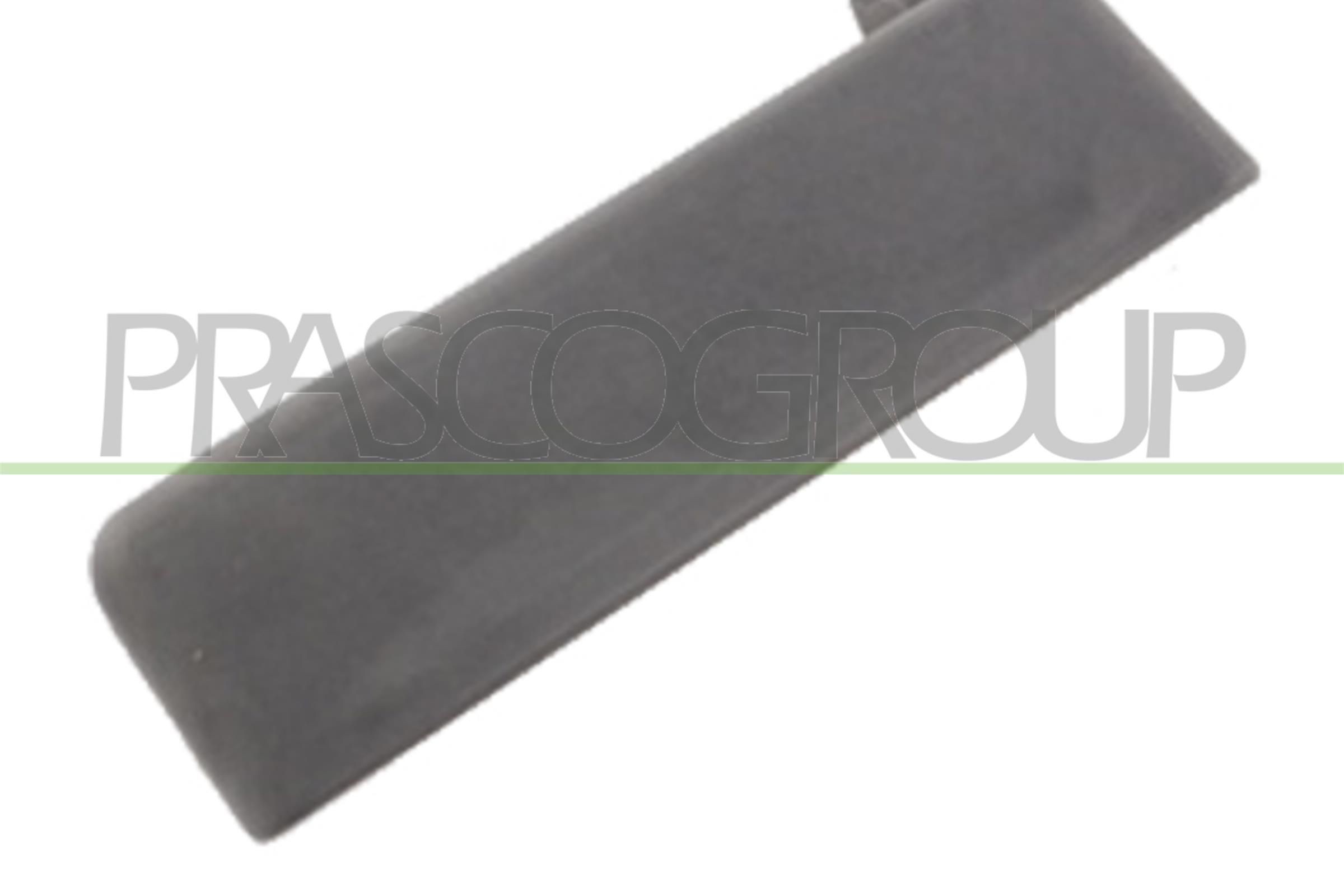 PRASCO Maniglia porta FD9048001 PRASCO FD9048001 Maniglia porta