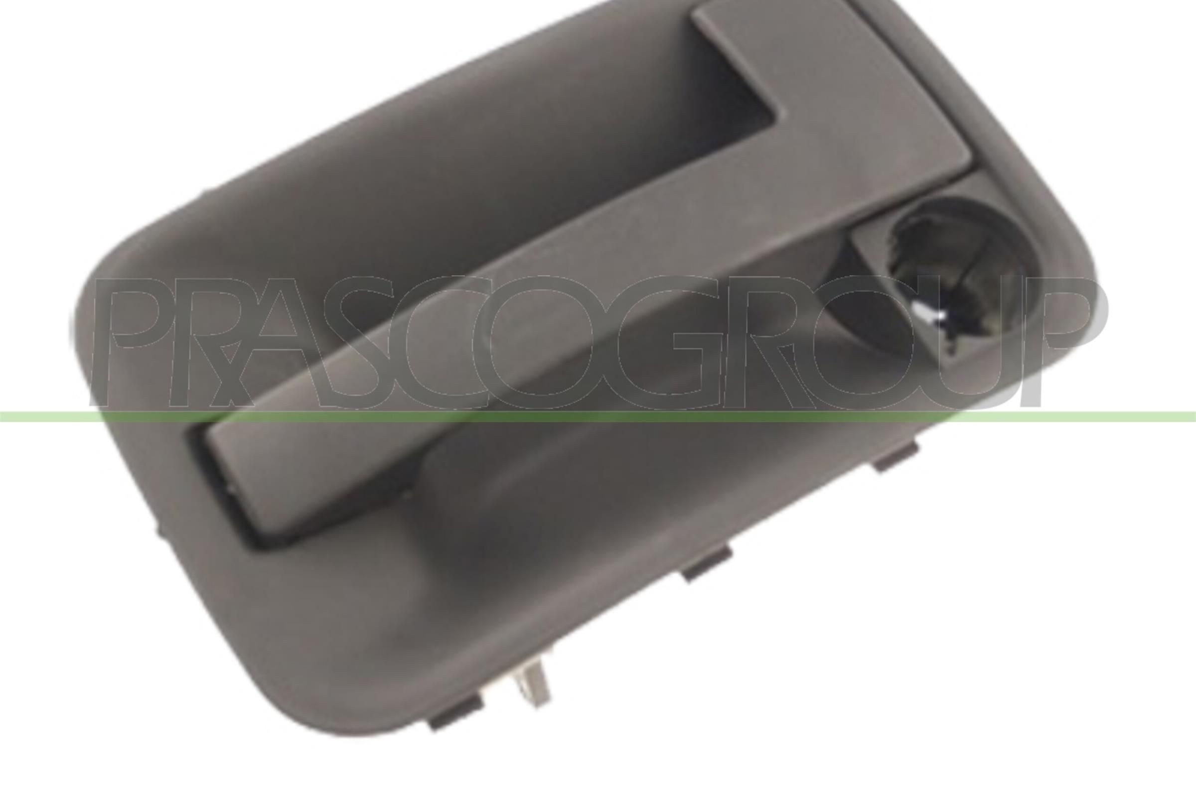 PRASCO Door Handle FT9218102 PRASCO FT9218102 PORSCHE 911 door handles replacement