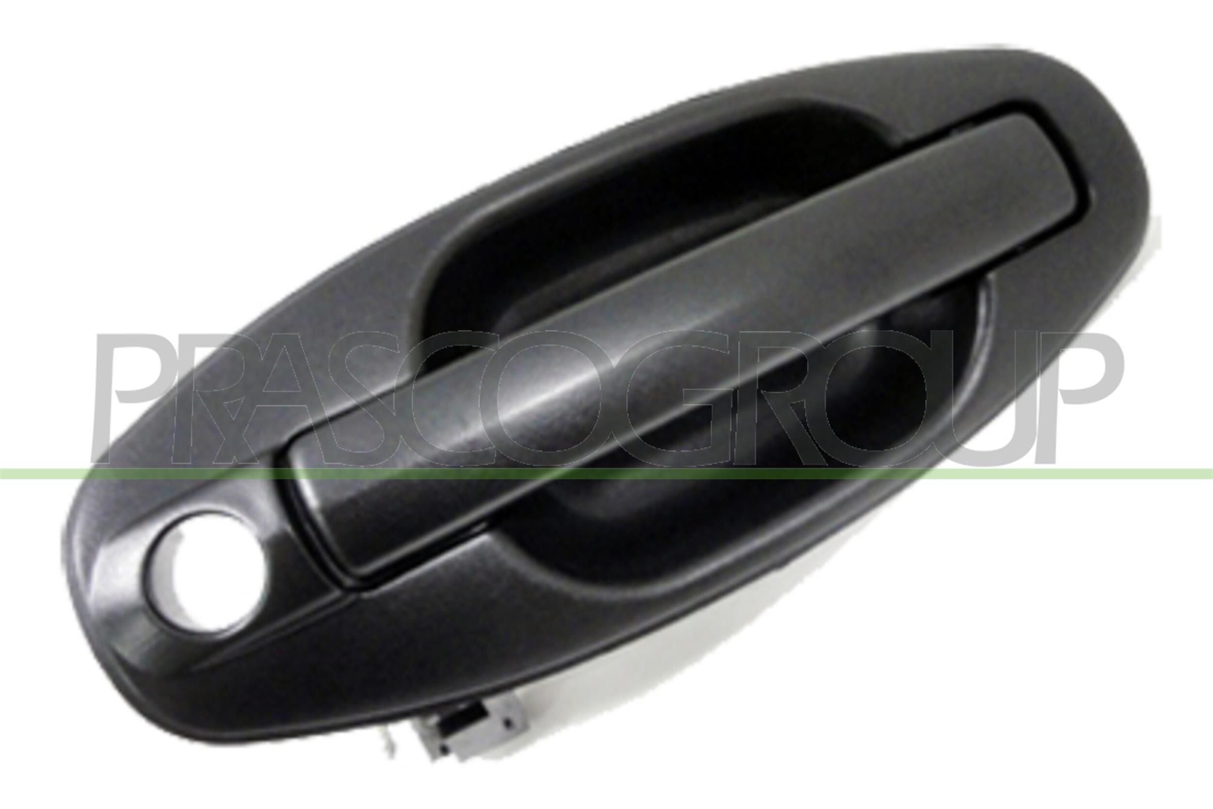 PRASCO Pega de porta HN8128002 Maçaneta da porta PRASCO HYUNDAI HN8128002