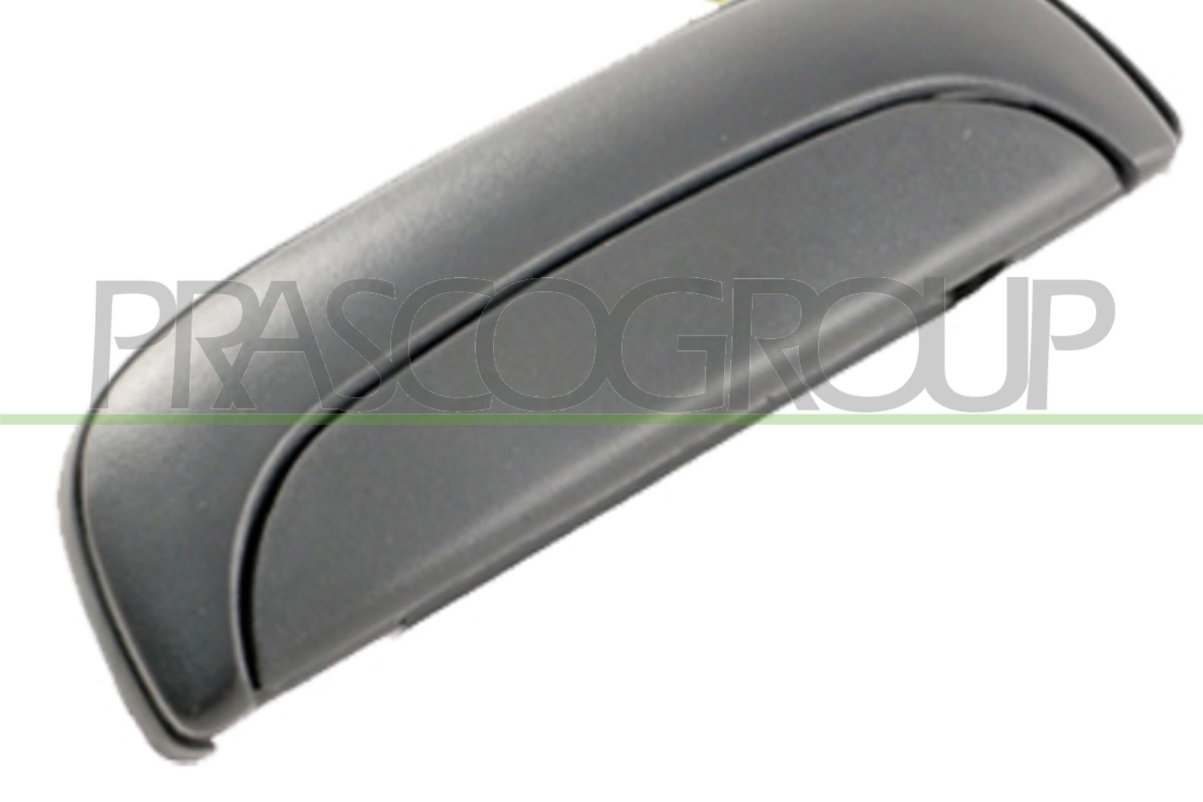 PRASCO Uksekäepide HN9208002 Uksekäepide PRASCO Hyundai TERRACAN HN9208002