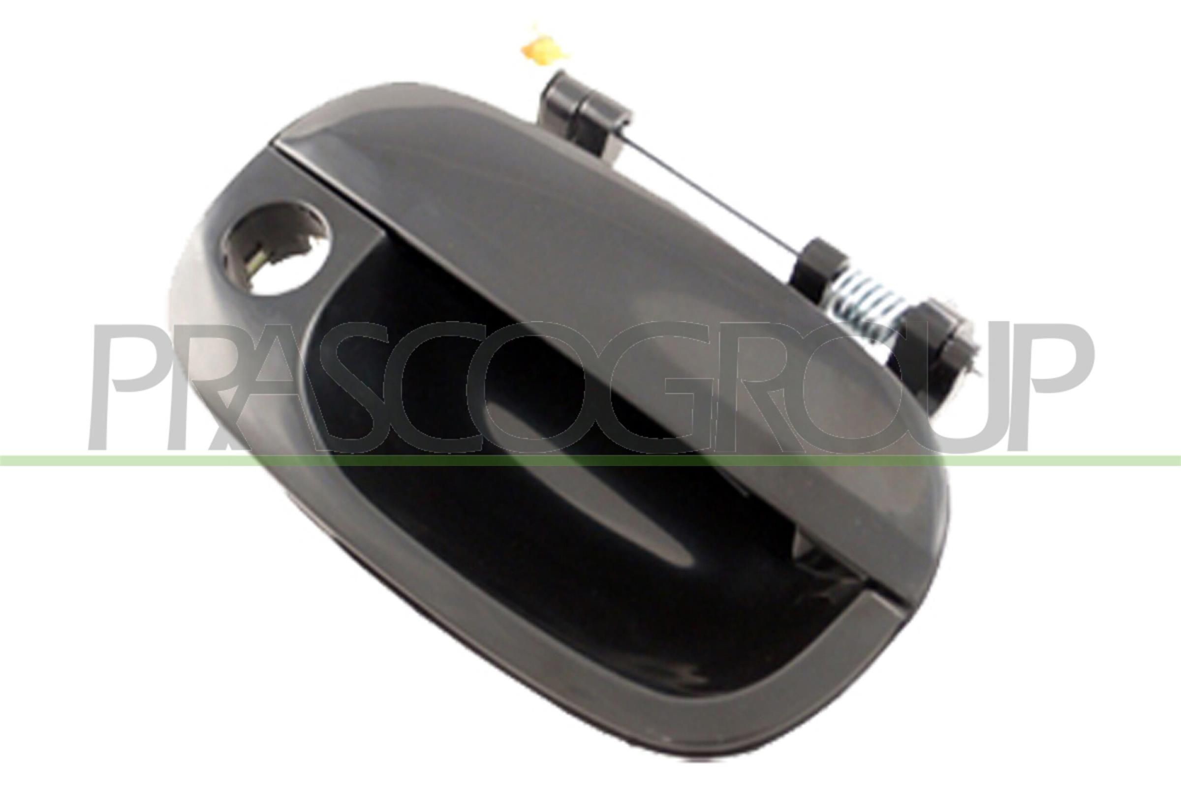 Dörrhandtag PRASCO HN9228002 PRASCO HN9228002 Handtag baklucka HYUNDAI H-1 Skåp 2009