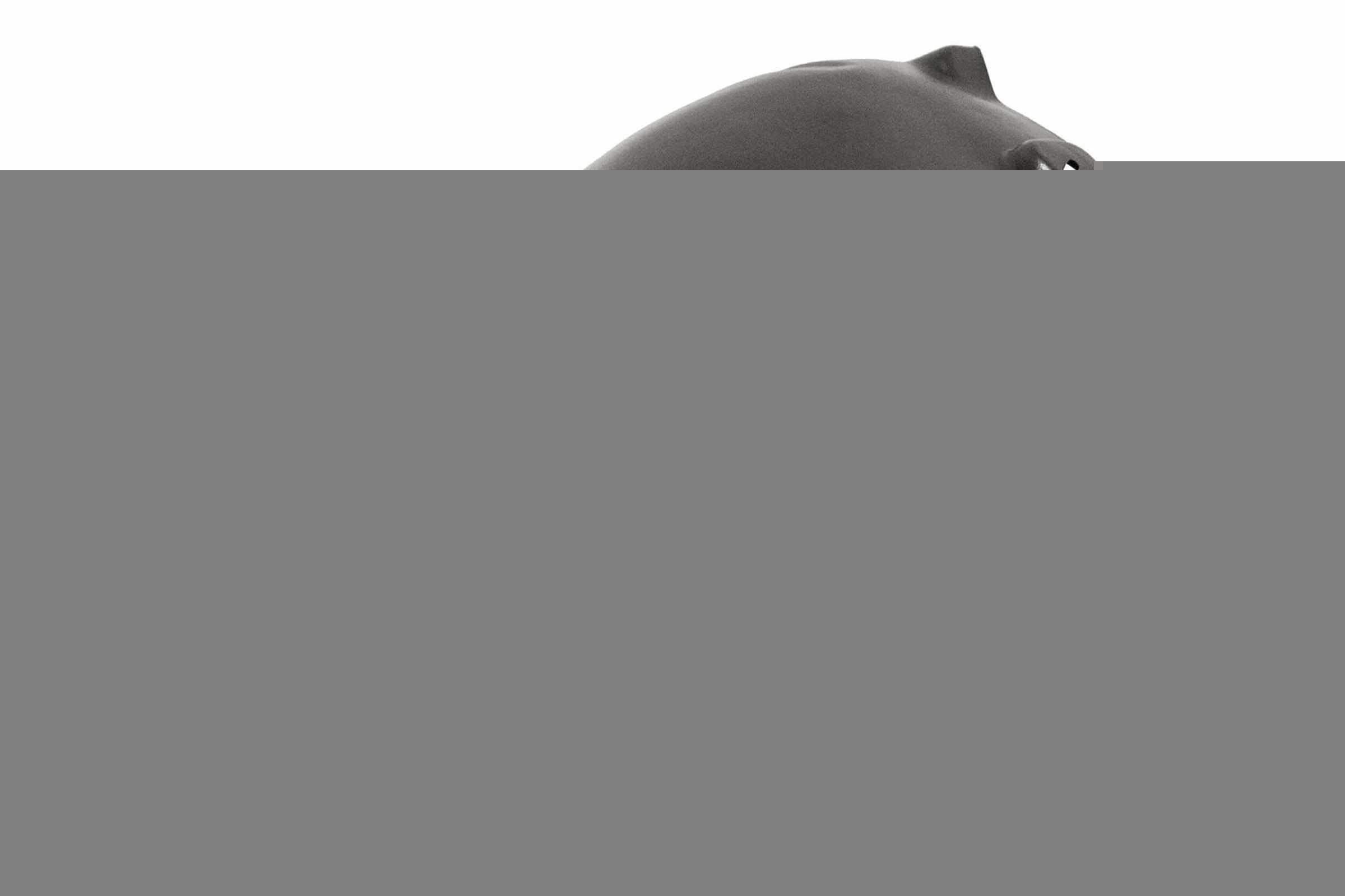 PRASCO Parasassi passaruota OP4103634 PRASCO OP4103634 Parasassi passaruota