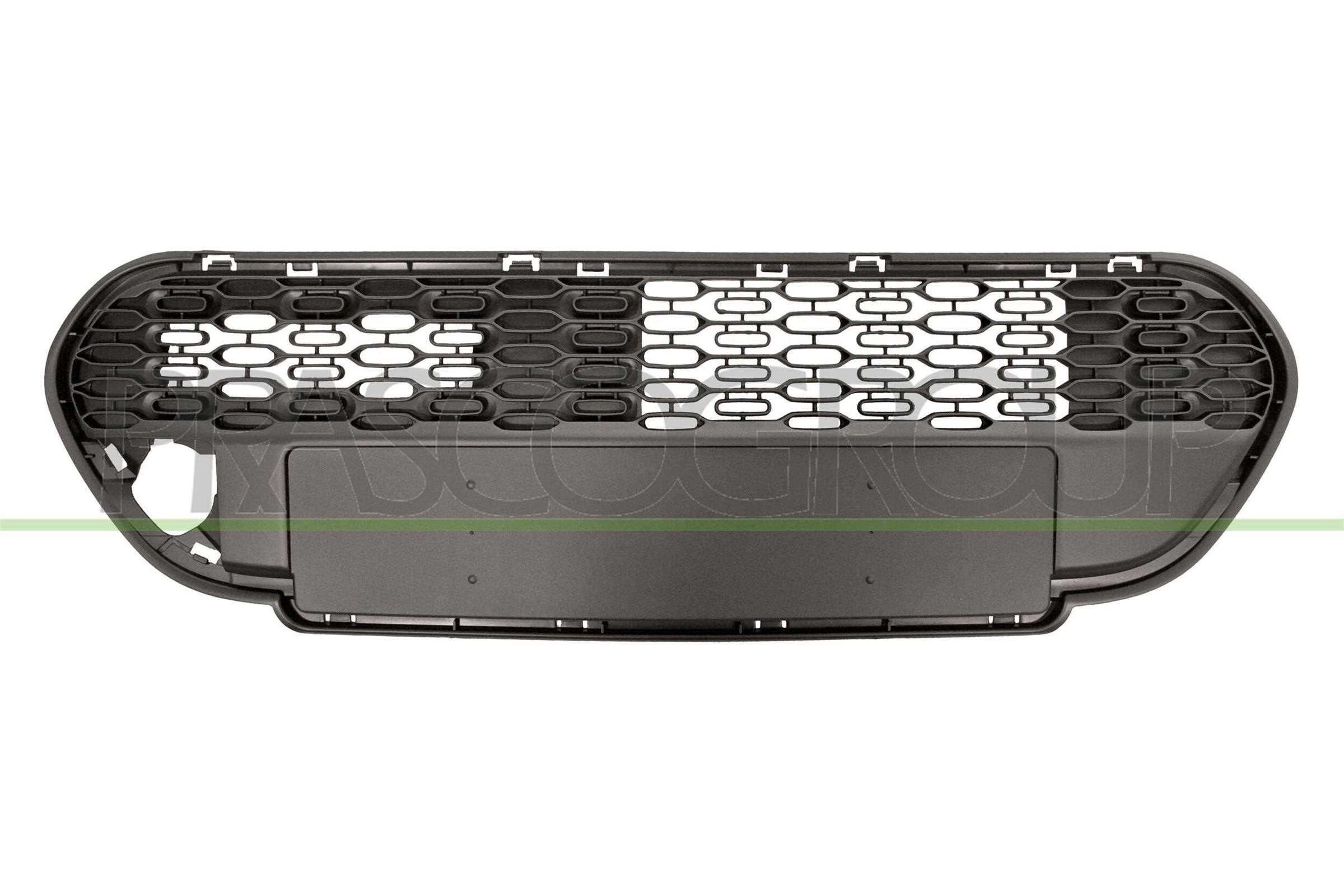PRASCO Radiatorgitter PG2042001 PG2042001 PRASCO Front grill Peugeot billige