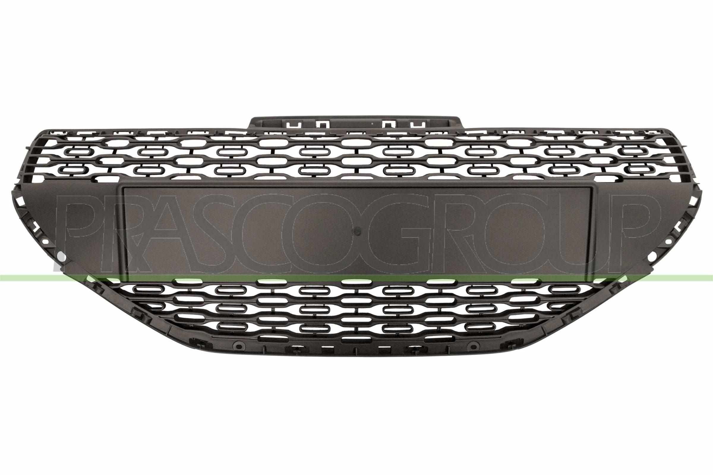 PRASCO Radiator grill PG3262001 PG3262001 Radiator grill PRASCO PEUGEOT RCZ