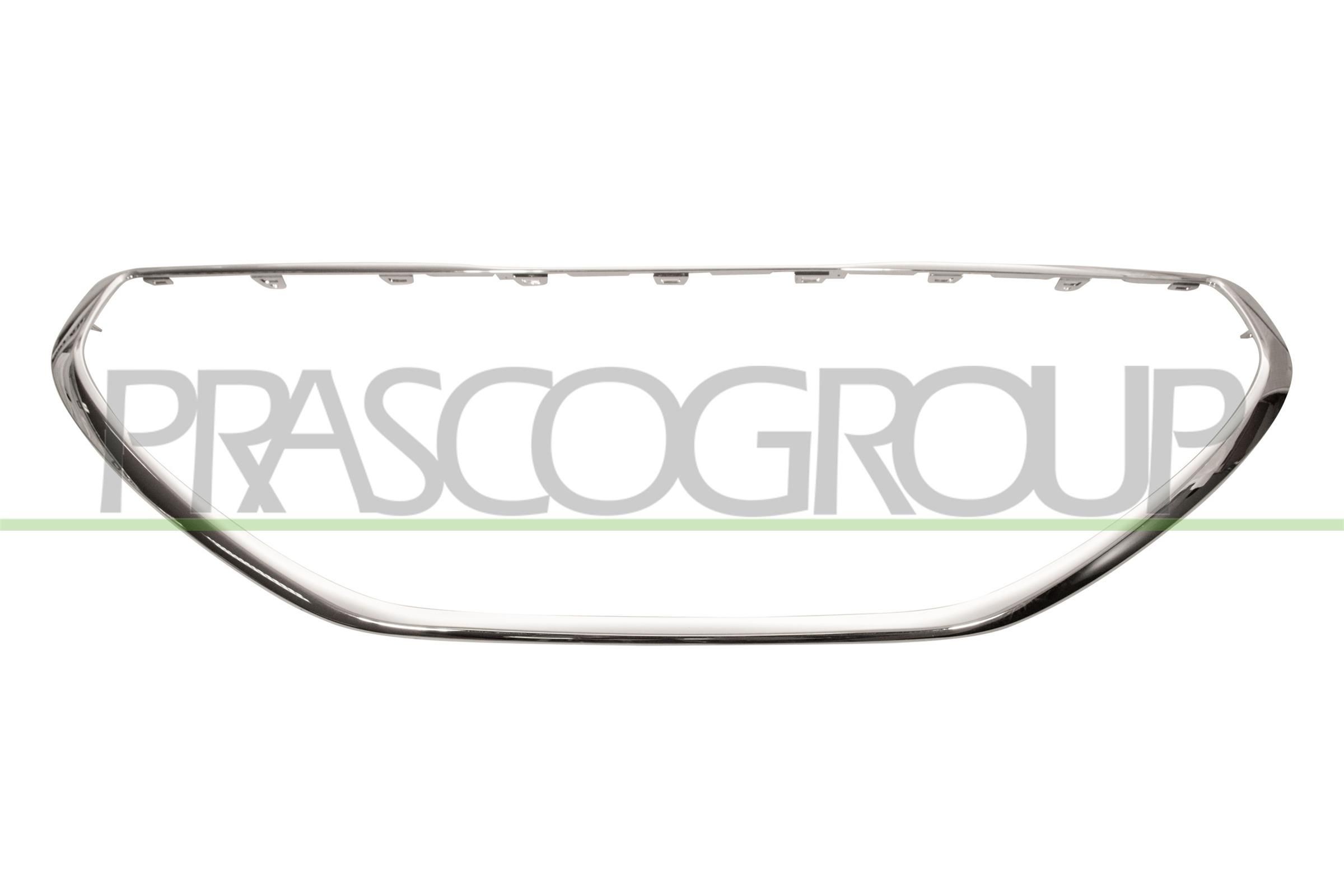 PRASCO Modanatura decorativa / protettiva, Griglia radiatore PG3262206 PG3262206 Griglia radiatore PRASCO PEUGEOT 504 costo