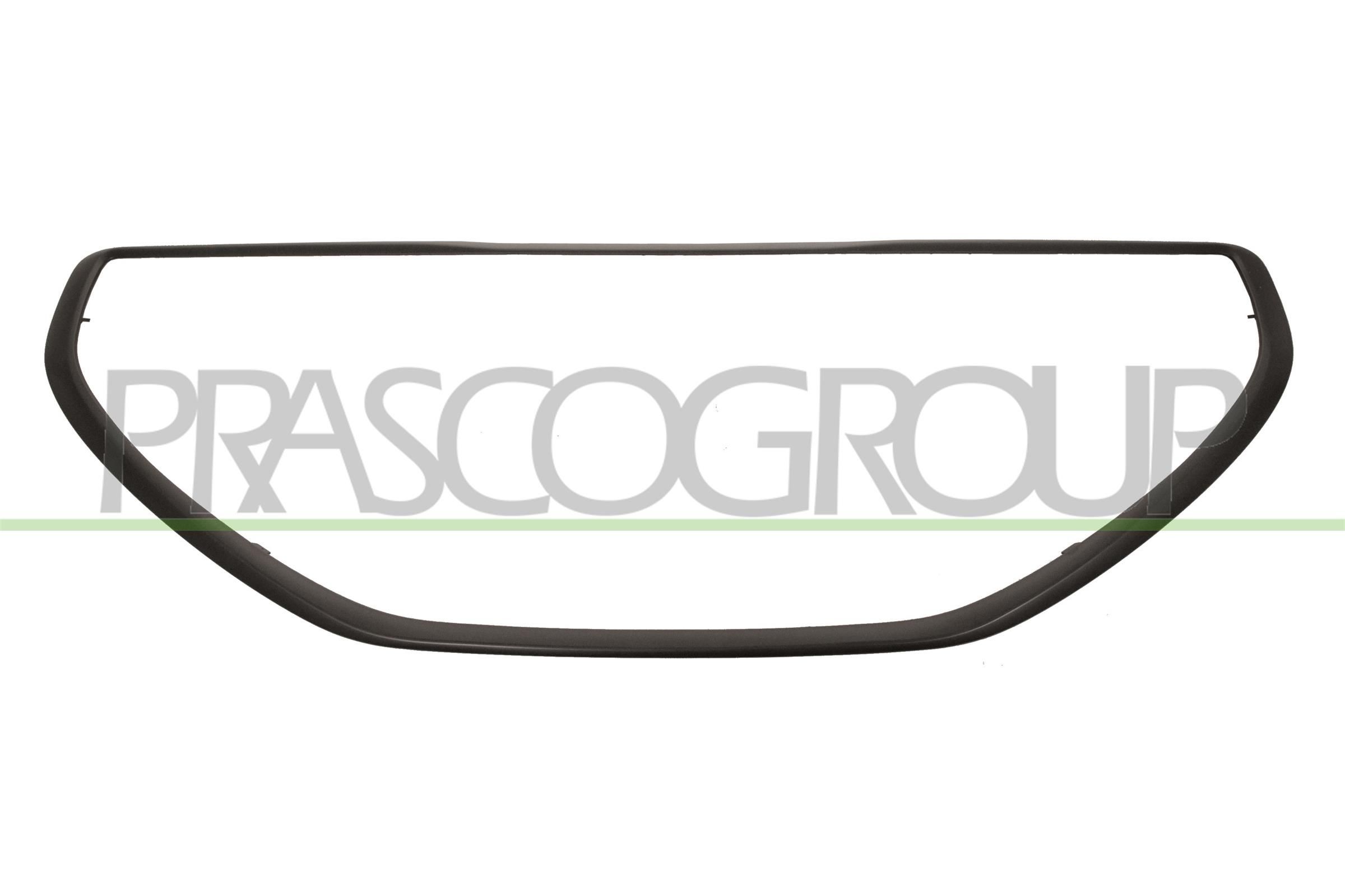PRASCO Pynte- / vernelist, radiatorgitter PG3262216 PRASCO PG3262216 Front grill Volvo 140 originale
