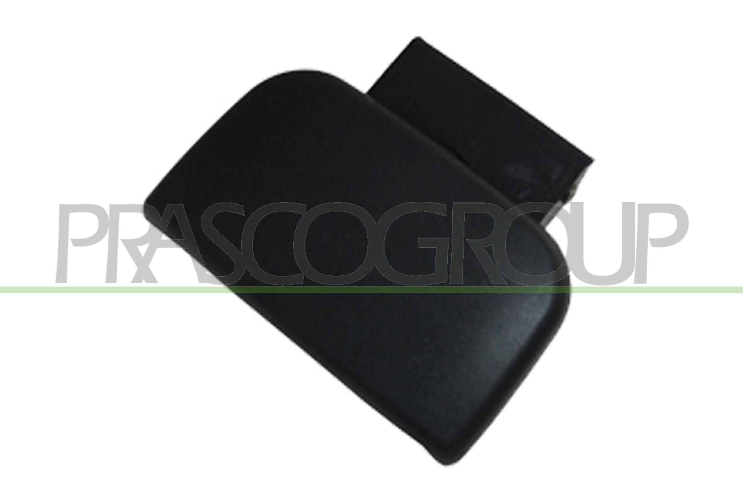 PRASCO Durvju rokturis PG9048011 PRASCO PG9048011 Durvju rokturis CITROЁN SAXO orģinālās