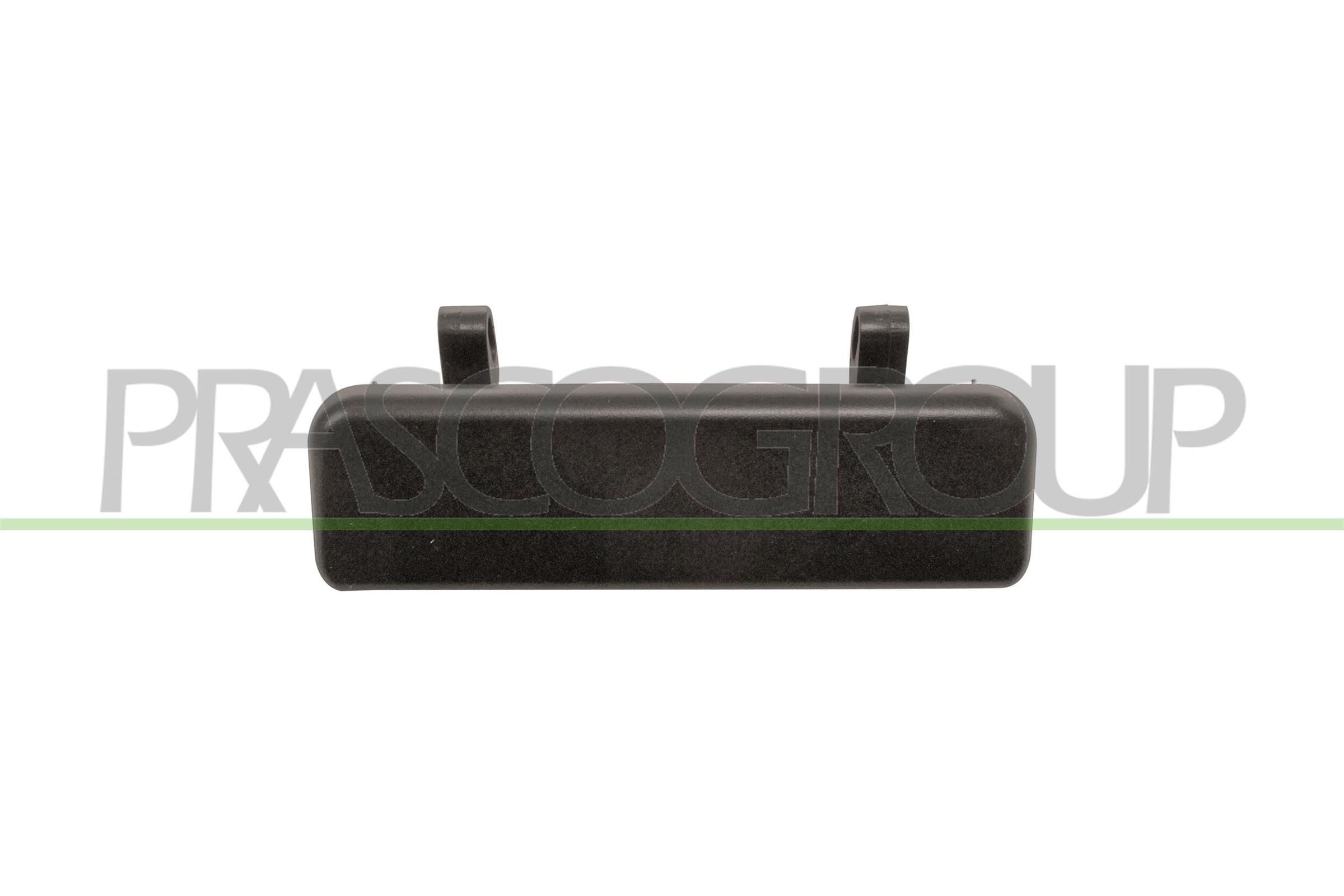 PRASCO Pega de porta RN0238217 RN0238217 Pega de porta RENAULT KANGOO PRASCO