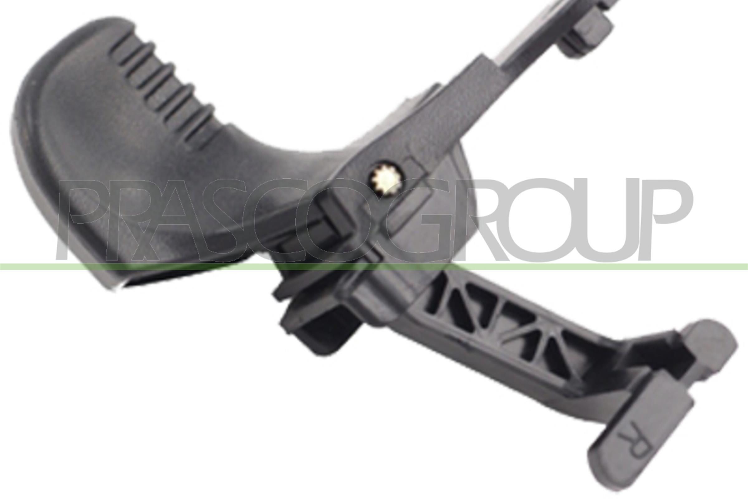 Dörrhandtag PRASCO RN3048001 PRASCO RN3048001 Bagagelucka handtag RENAULT TWINGO 2005