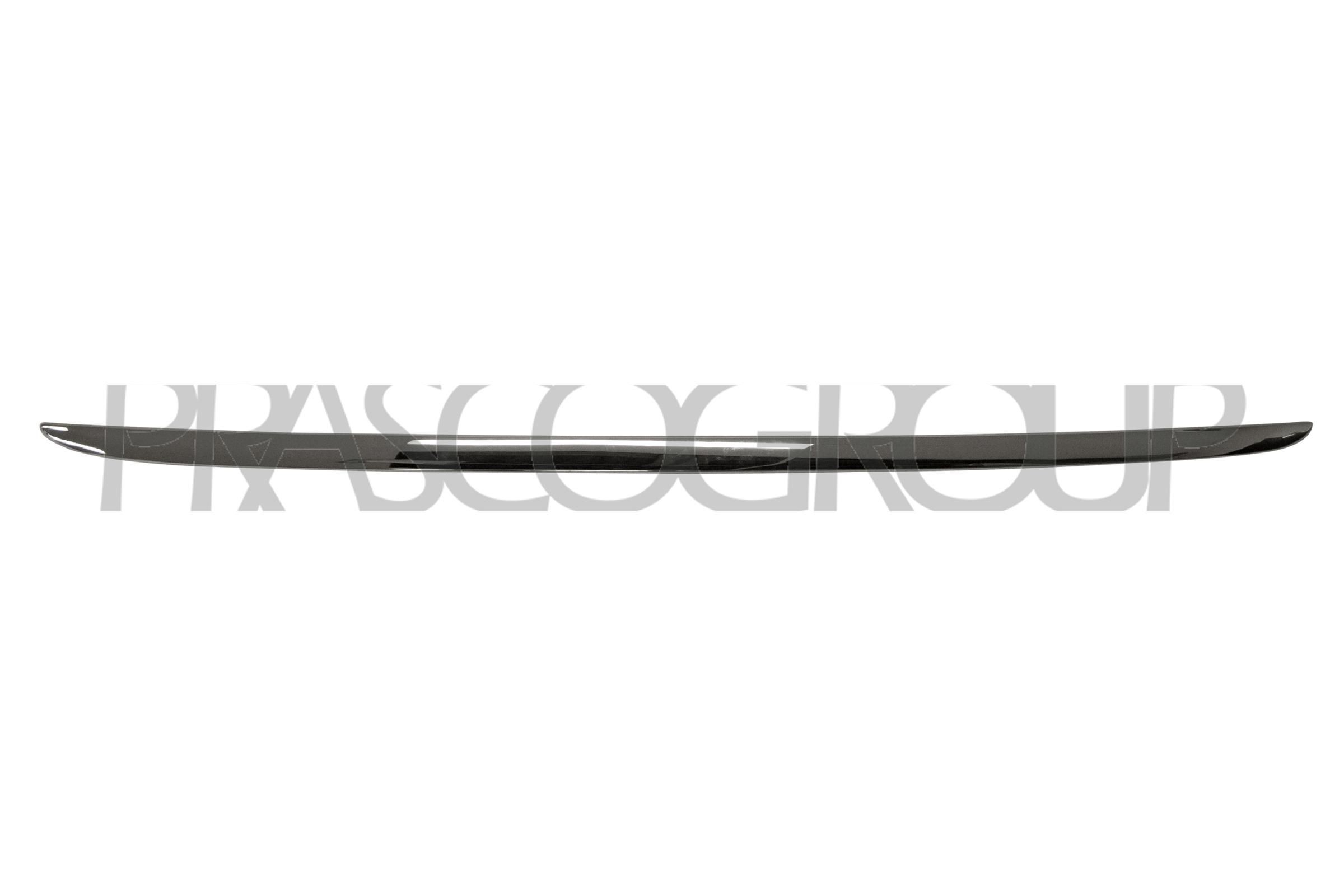 PRASCO Bumper moulding RN3291265 RN3291265 PRASCO bumper trim RENAULT SCÉNIC