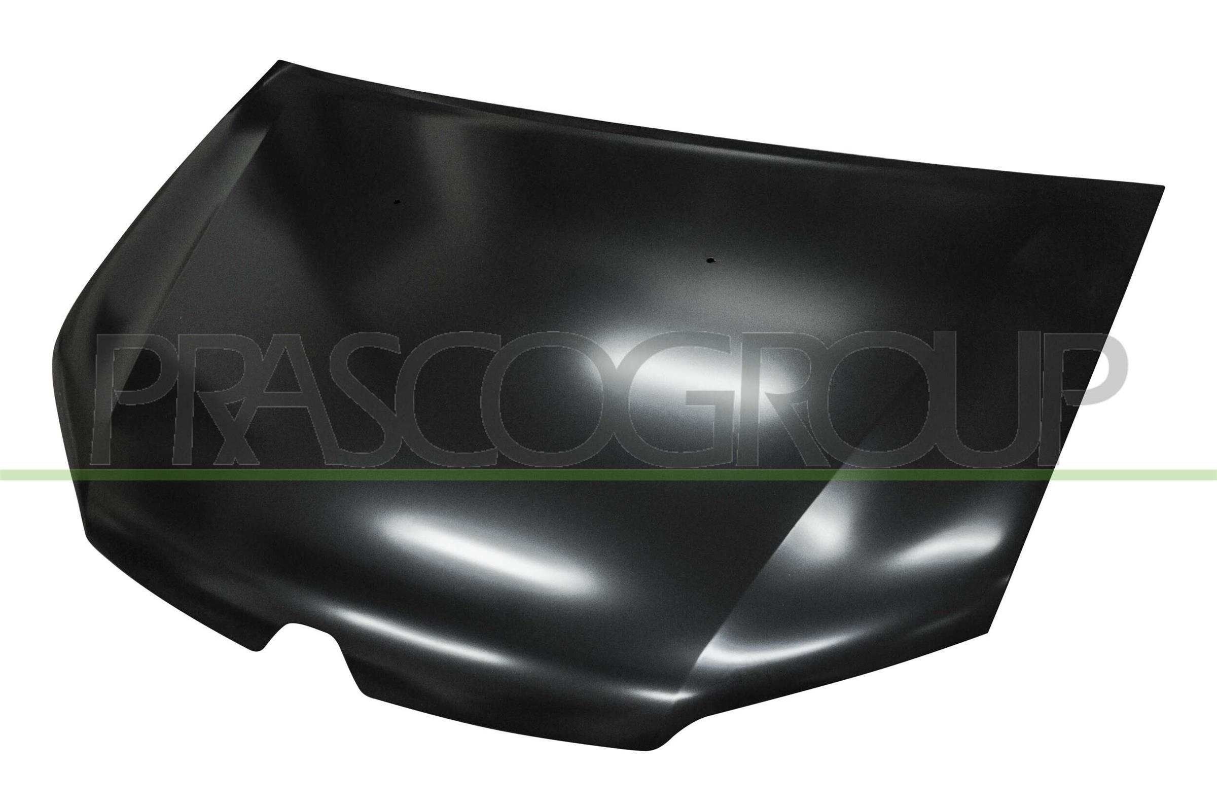 PRASCO Motorpanser RN4063100 PRASCO RN4063100 Panser Symbol / Thalia III (L8) til en fordelagtig pris