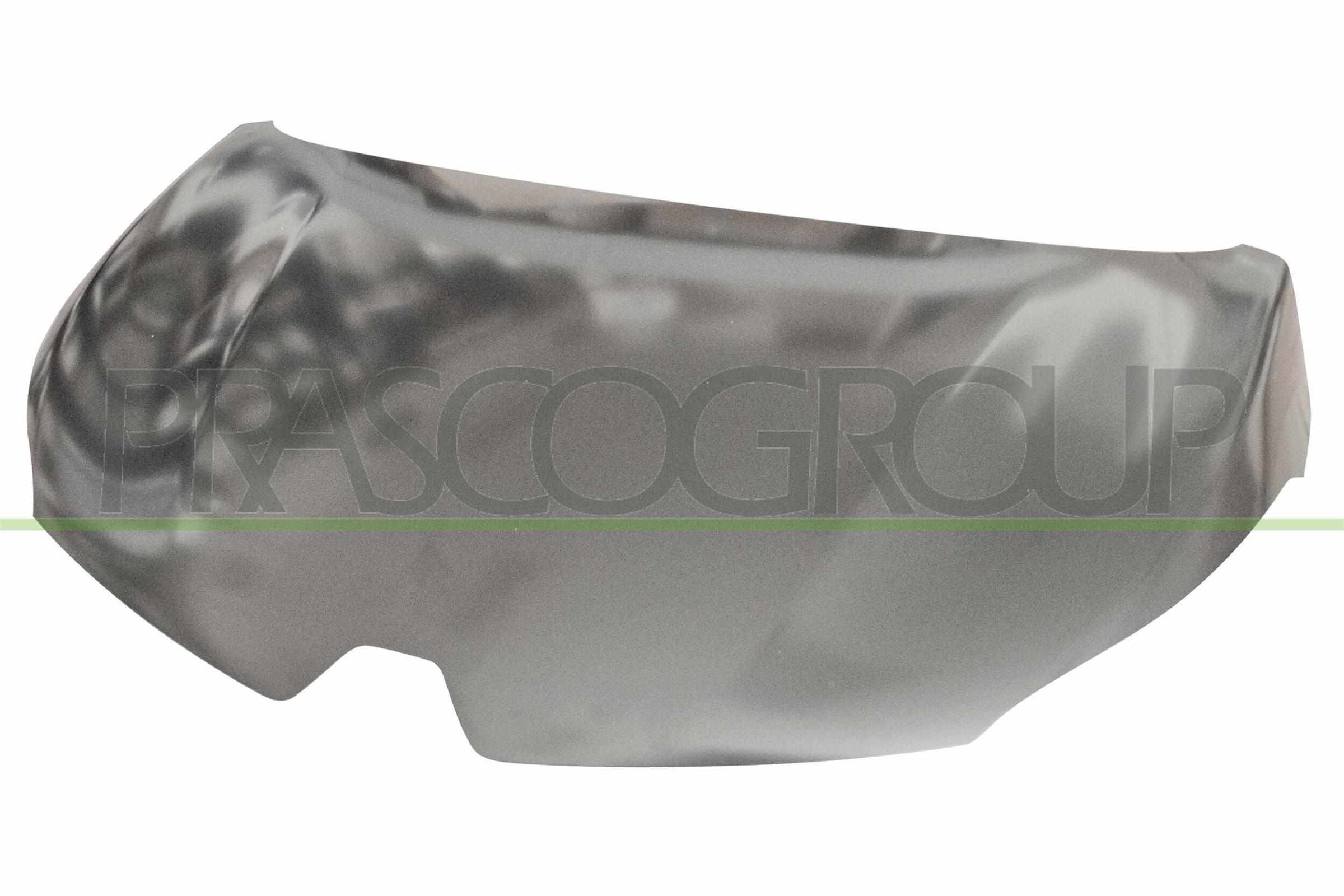 PRASCO Kapott RN7003100 Kapott PRASCO Renault TWINGO RN7003100