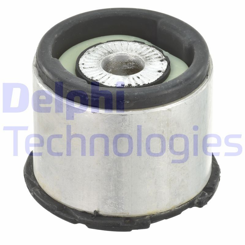 DELPHI Achteras rubber TD1095W Achteras rubbers DELPHI SEAT TD1095W