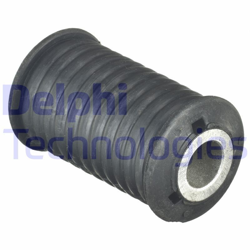 DELPHI Lagerung, Blattfeder TD1210W TD1210W Blattfeder NISSAN CABSTAR E DELPHI kaufen