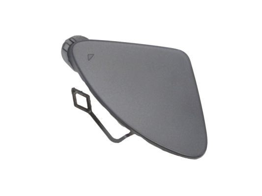 BLIC Klappe, slepekrok 5513-00-0063920P BLIC 5513-00-0063920P Klappe, slepekrok BMW F30 til en fordelagtig pris