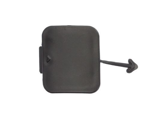 BLIC Tampa, gancho de reboque 5513-00-0065975P BLIC 5513-00-0065975P Tampa, gancho de reboque BMW Z4 e85 preço