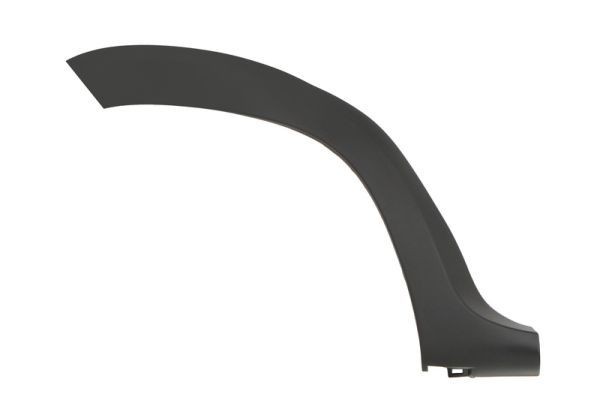 BLIC Ehis- / kaitseliist, Poritiib 5703-04-1305596P Ukseliistud BLIC DACIA 5703-04-1305596P