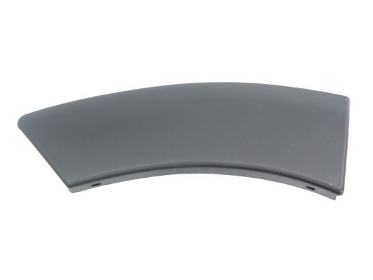 BLIC Ehis- / kaitseliist, Poritiib 5703-04-1305598P BLIC 5703-04-1305598P originaal Tiivalaiendid Duster Off-Road hind