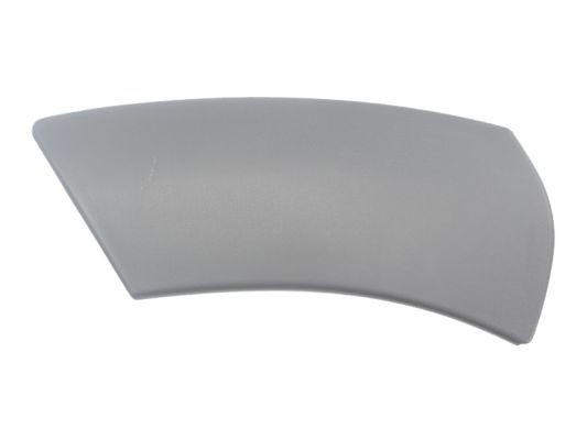 BLIC Friso, guarda-lamas 5703-08-1305375P Abas guarda lamas BLIC Renault KANGOO 5703-08-1305375P