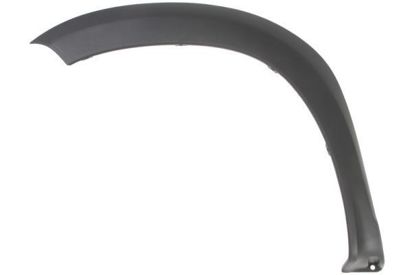 BLIC Ehis- / kaitseliist, Poritiib 5703-08-1305377P Ukseliistud BLIC DACIA 5703-08-1305377P