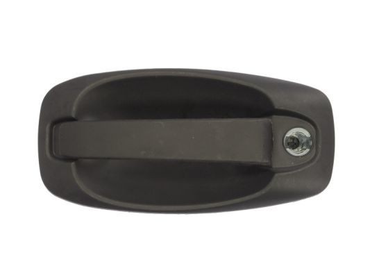 BLIC Maniglia porta 6010-07-043401P BLIC 6010-07-043401P Maniglia sportello Fiat Fiorino 3 prezzo