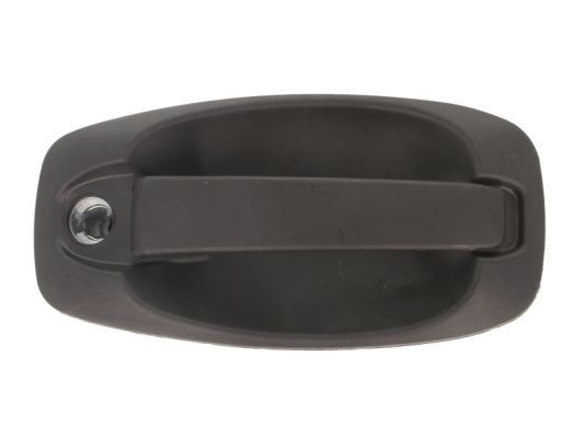 Door Handle BLIC 6010-07-043417P BLIC 6010-07-043417P Citroen NEMO 2023 Door handles price
