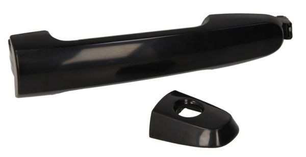 BLIC Poignée de porte 6010-19-059401P BLIC 6010-19-059401P Poignée de porte Previa / Estima III (XR50) prix