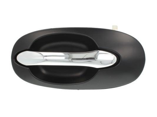 BLIC Dörrhandtag 6010-53-012403P BLIC 6010-53-012403P Dörrhandtag Proceed (CD) original