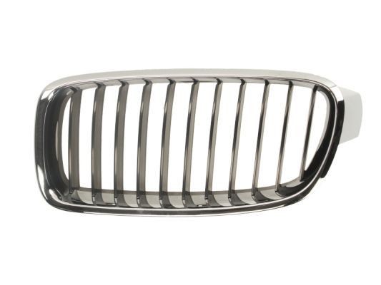 BLIC Radiator Grille 6502-07-0063991P BLIC 6502-07-0063991P BMW E10 radiator grille cost
