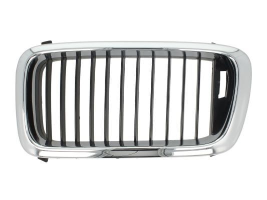BLIC Griglia radiatore 6502-07-0075991P BLIC 6502-07-0075991P costo Griglia radiatore BMW E38 originale
