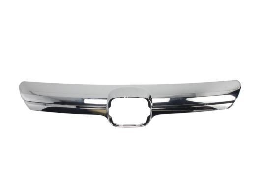 BLIC Modanatura decorativa / protettiva, Griglia radiatore 6502-07-2957991P BLIC 6502-07-2957991P Griglia Honda Accord 4 originali prezzo