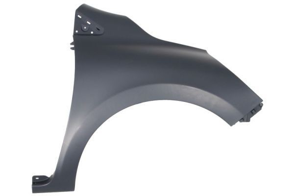 BLIC Guarda-lamas 6504-04-6034312P BLIC 6504-04-6034312P Guarda-lamas Renault Megane IV Grandtour originais preço