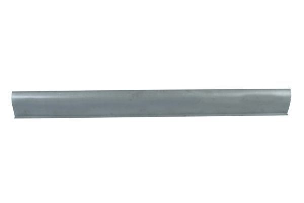 Rocker panel BLIC 6505-06-6425017P BLIC 6505-06-6425017P Land Rover RANGE ROVER 2020 Rocker panel price