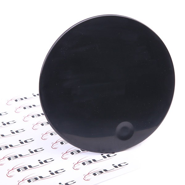 BLIC Charnière, trappe essence 6508-02-2565510P 6508-02-2565510P Composants du bouchon LEXUS ES BLIC