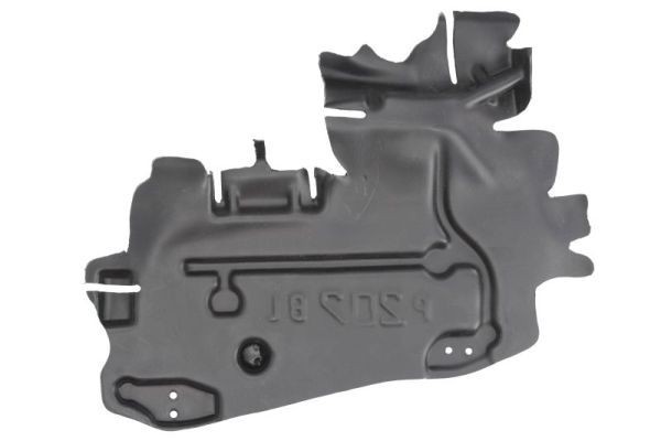 BLIC Moottorikoppa 6601-02-5508871P BLIC 6601-02-5508871P PEUGEOT 207 Hatchback moottorikoppa hinta