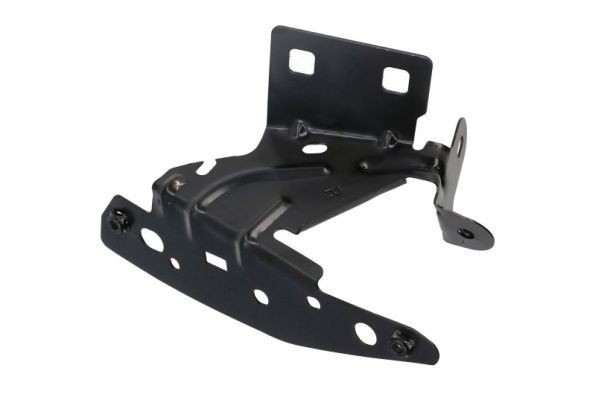 Kronšteins, Spārns BLIC 7802-03-0531384P BLIC 7802-03-0531384P: Spārns Citroen DS3 2010