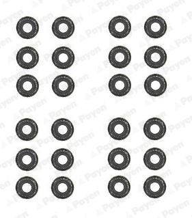 PAYEN Kit guarnizioni, Stelo valvola HR5062 PAYEN HR5062 Gommini valvole RAM 2500 Standard Cab Pick-up originali prezzo