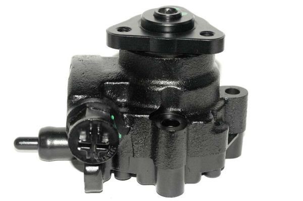 LAUBER Servopumpe 55.9690 Servostyring pumpe LAUBER 110/127 55.9690 billig