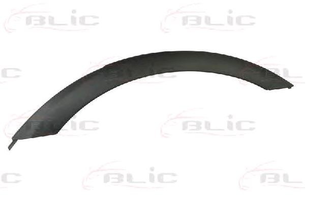 BLIC Pynte- / beskyttelseslist, skvettskjerm 5703-04-0093595P Beskyttelseslist BLIC BMW X1 5703-04-0093595P