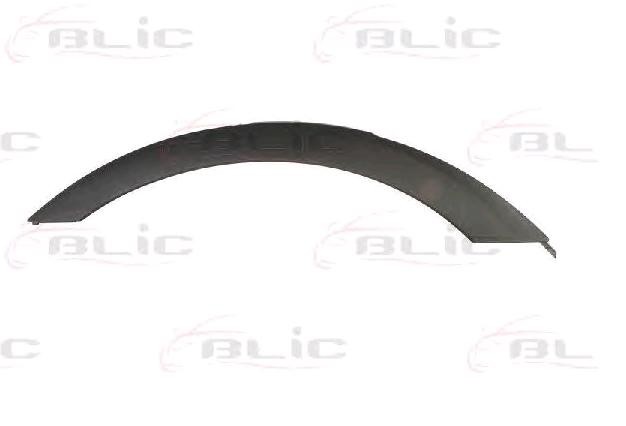 BLIC Ozdobná / ochranná liżta blatníka 5703-04-0093596P BLIC 5703-04-0093596P originálne Lemy blatníkov BMW X3 E83 cena