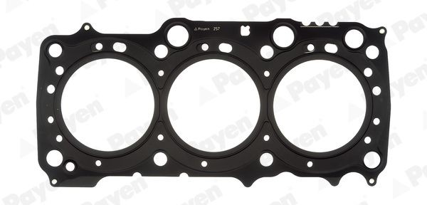 PAYEN Pakking, cilinderkop AG9790 Saab 9-3 Pakking, cilinderkop PAYEN AG9790